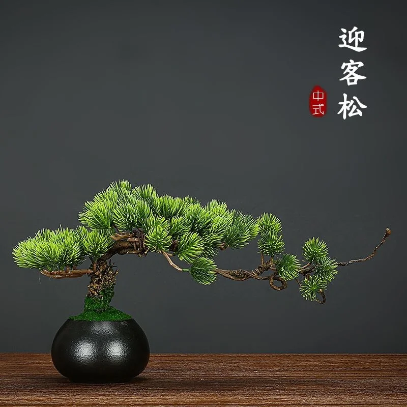 Nuotrauka /img/1854_1-wp-upload/Žalioji-namų-dekoro-bonsai-modeliavimas-dekoratyvinės.jpeg