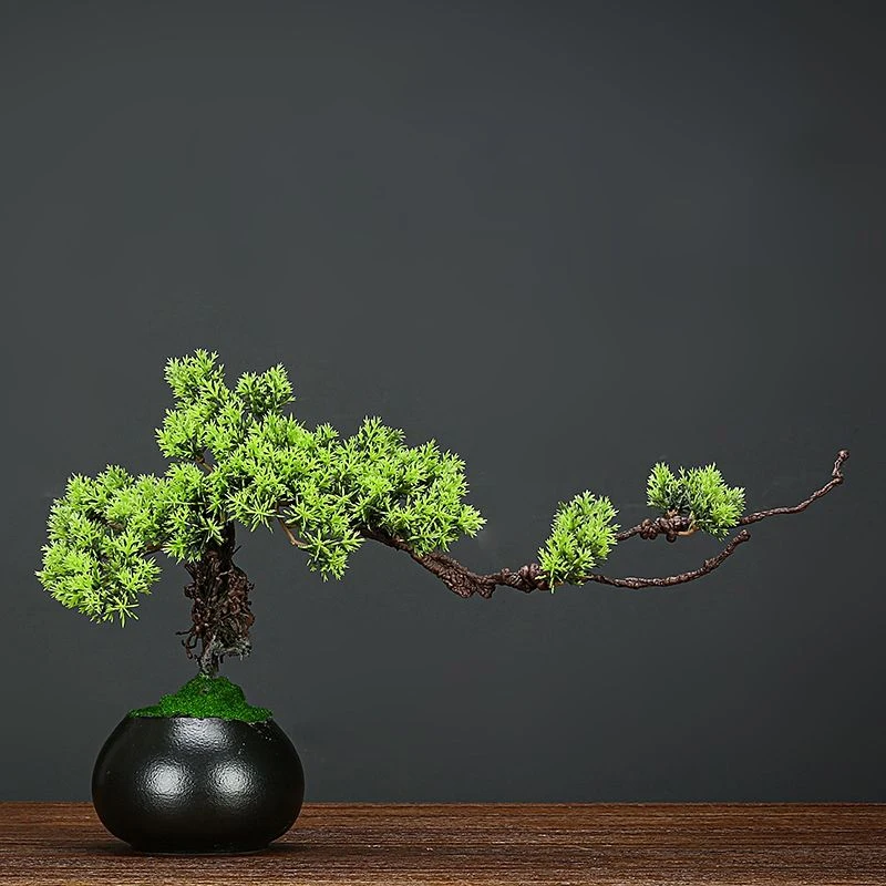 Nuotrauka /img/1854_5-wp-upload/Žalioji-namų-dekoro-bonsai-modeliavimas-dekoratyvinės.jpeg