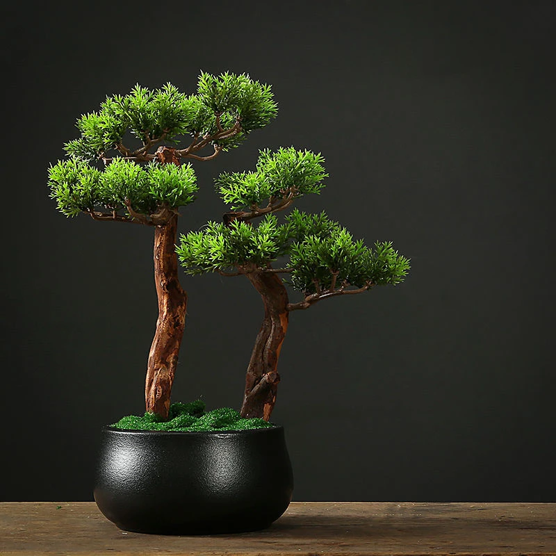 Nuotrauka /img/1854_6-wp-upload/Žalioji-namų-dekoro-bonsai-modeliavimas-dekoratyvinės.jpeg